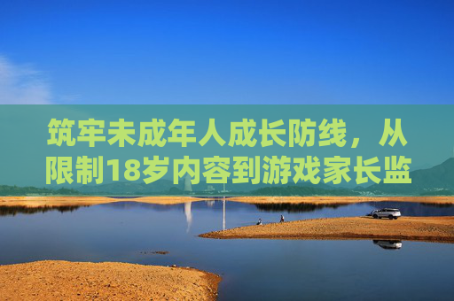 筑牢未成年人成长防线，从限制18岁内容到游戏家长监控的协同守护，筑牢未成年人成长防线，18岁内容限制与游戏家长监控协同守护