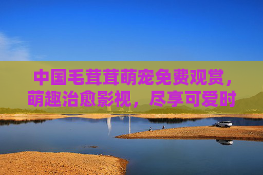 中国毛茸茸萌宠免费观赏,萌趣治愈影视,尽享可爱时光,中国毛茸茸萌宠免费观赏,萌趣治愈影视,尽享可爱时光 中国毛茸茸萌宠免费观赏,萌趣治愈影视,尽享可爱时光,中国毛茸茸萌宠免费观赏,萌趣治愈影视,尽享可爱时光