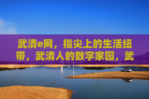 武清e网，指尖上的生活纽带，武清人的数字家园，武清e网，武清人的数字家园