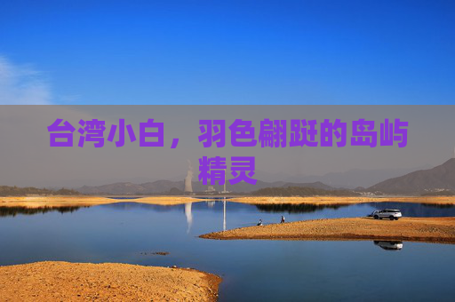 台湾小白，羽色翩跹的岛屿精灵