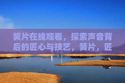 簧片在线观看，探索声音背后的匠心与技艺，簧片，匠心铸就，技艺传声