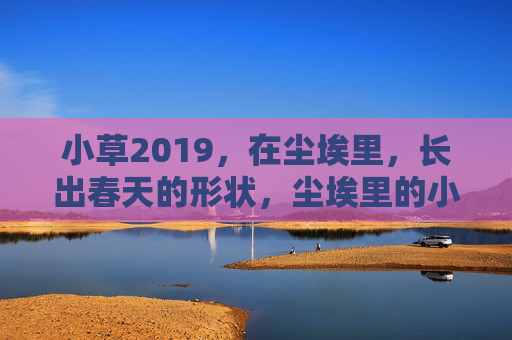 小草2019，在尘埃里，长出春天的形状，尘埃里的小草，长出春天的形状