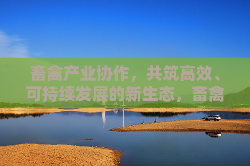 畜禽产业协作，共筑高效、可持续发展的新生态，畜禽产业协作共筑高效可持续新生态
