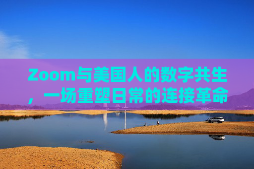 Zoom与美国人的数字共生，一场重塑日常的连接革命