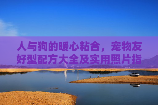 人与狗的暖心粘合，宠物友好型配方大全及实用照片指南，暖心粘合，人与狗宠物友好配方大全及实用照片指南