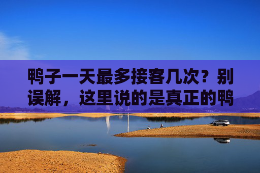 鸭子一天最多接客几次？别误解，这里说的是真正的鸭子繁殖行为，鸭子一天最多接客几次？别误解，这才是真正的繁殖行为