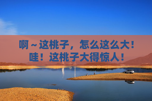 啊～这桃子，怎么这么大！哇！这桃子大得惊人！