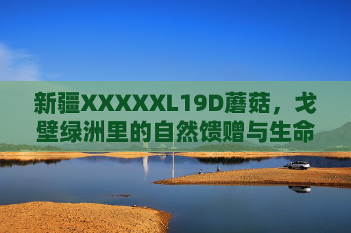 新疆XXXXXL19D蘑菇，戈壁绿洲里的自然馈赠与生命密码