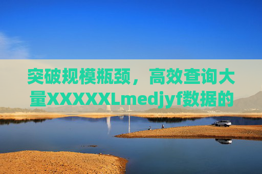 突破规模瓶颈，高效查询大量XXXXXLmedjyf数据的实践与探索，突破规模瓶颈，高效查询大量XXXXXLmedjyf数据的实践探索
