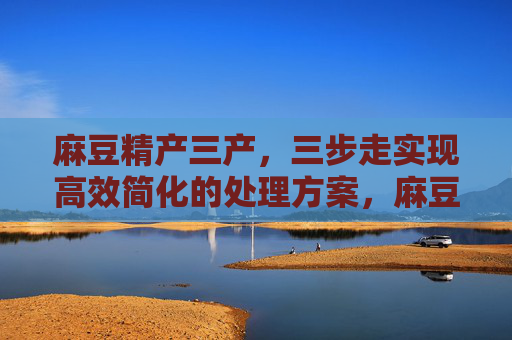 麻豆精产三产，三步走实现高效简化的处理方案，麻豆精产三产，三步走高效简化处理方案
