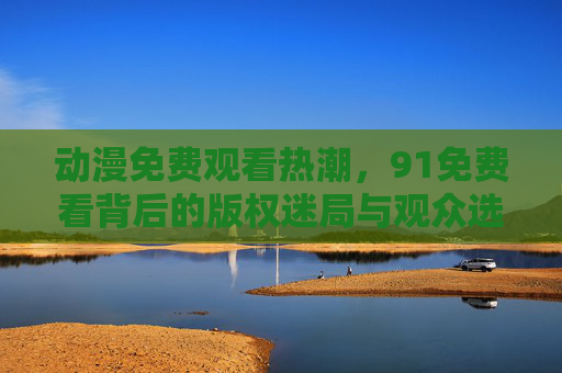 动漫免费观看热潮，91免费看背后的版权迷局与观众选择，动漫免费观看热潮，91免费看背后的版权迷局与观众选择