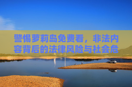 警惕萝莉岛免费看，非法内容背后的法律风险与社会危害，警惕萝莉岛免费看，非法内容背后的法律风险与社会危害