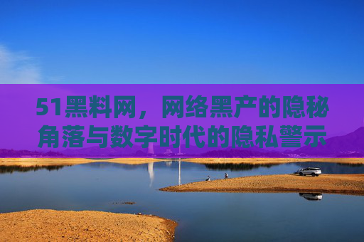 51黑料网，网络黑产的隐秘角落与数字时代的隐私警示，51黑料网，网络黑产的隐秘角落与数字时代隐私警示