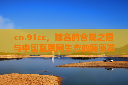 cn.91cc，域名的合规之思与中国互联网生态的健康发展，cn.91cc域名合规之思与中国互联网生态健康发展