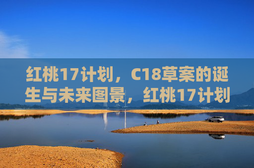 红桃17计划,C18草案的诞生与未来图景,红桃17计划与C18草案,诞生与未来图景 红桃17计划,C18草案的诞生与未来图景,红桃17计划与C18草案,诞生与未来图景