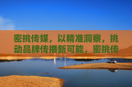 密挑传媒，以精准洞察，挑动品牌传播新可能，密挑传媒，精准洞察挑动品牌传播新可能