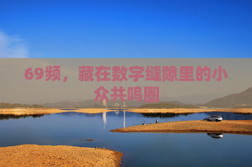 69频,藏在数字缝隙里的小众共鸣圈 69频,藏在数字缝隙里的小众共鸣圈