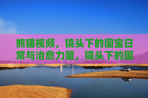 熊猫视频，镜头下的国宝日常与治愈力量，镜头下的国宝日常，熊猫的治愈力量