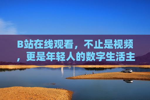 B站在线观看，不止是视频，更是年轻人的数字生活主场，B站，年轻人的数字生活主场，不止是视频