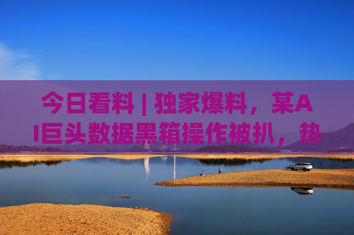 今日看料 | 独家爆料，某AI巨头数据黑箱操作被扒，热门话题背后藏着多少行业隐秘？独家爆料，AI巨头数据黑箱操作被扒，行业隐秘浮出水面
