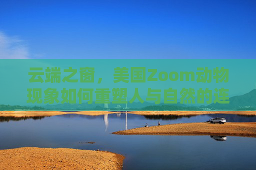云端之窗，美国Zoom动物现象如何重塑人与自然的连接，云端之窗，Zoom动物现象重塑人与自然的连接
