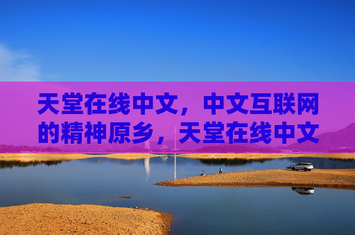 天堂在线中文，中文互联网的精神原乡，天堂在线中文，中文互联网的精神原乡