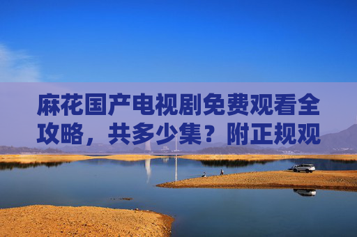 麻花国产电视剧免费观看全攻略，共多少集？附正规观看渠道
