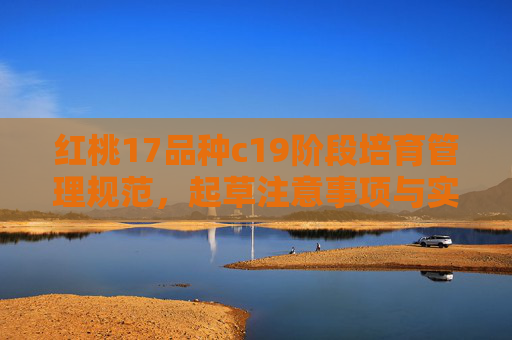 红桃17品种c19阶段培育管理规范，起草注意事项与实操要点，红桃17品种c19阶段培育管理规范，起草注意事项与实操要点