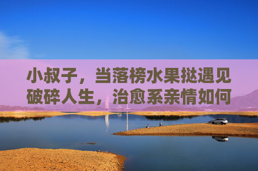 小叔子，当落榜水果挞遇见破碎人生，治愈系亲情如何重塑生活，落榜水果挞与破碎人生，小叔子的治愈系亲情重塑记