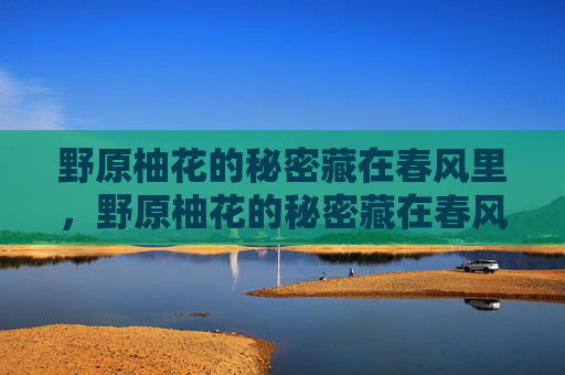 野原柚花的秘密藏在春风里，野原柚花的秘密藏在春风里