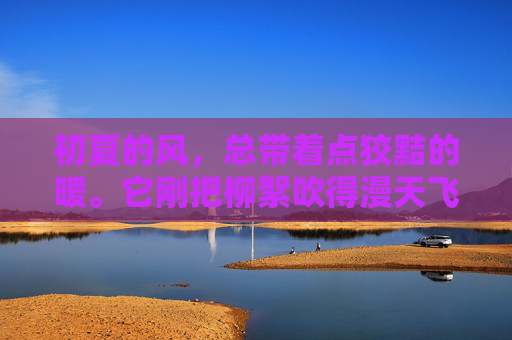 初夏的风，总带着点狡黠的暖。它刚把柳絮吹得漫天飞舞，又悄悄溜进果园，踮起脚尖，在那些沉甸甸的枝头上点一点——于是，樱桃就红了