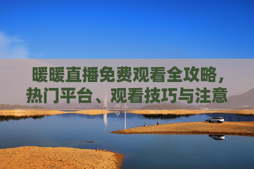 暖暖直播免费观看全攻略，热门平台、观看技巧与注意事项，暖暖直播免费观看全攻略，热门平台、技巧与注意事项