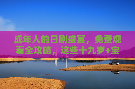 成年人的日剧盛宴，免费观看全攻略，这些十九岁+宝藏剧等你解锁，成年人的日剧免费全攻略，解锁十九岁+宝藏盛宴