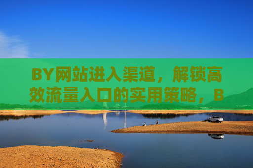 BY网站进入渠道，解锁高效流量入口的实用策略，BY网站，解锁高效流量入口的实用策略
