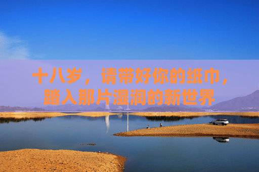 十八岁，请带好你的纸巾，踏入那片湿润的新世界