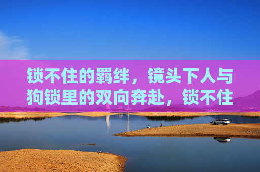 锁不住的羁绊，镜头下人与狗锁里的双向奔赴，锁不住的羁绊，镜头下人与狗的双向奔赴