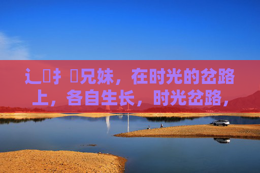 辶喿扌畐兄妹，在时光的岔路上，各自生长，时光岔路，兄妹各自生长