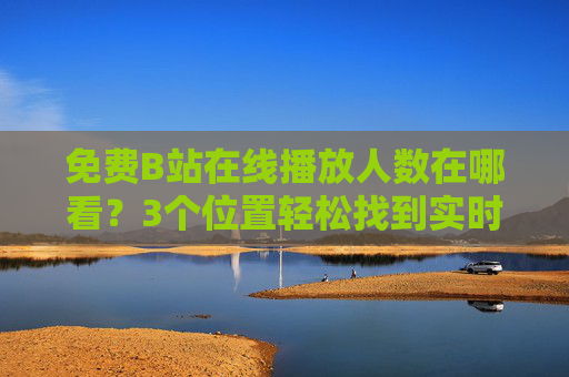 免费B站在线播放人数在哪看?3个位置轻松找到实时热度,免费B站在线播放人数查看,3个位置轻松找到实时热度 免费B站在线播放人数在哪看?3个位置轻松找到实时热度,免费B站在线播放人数查看,3个位置轻松找到实时热度