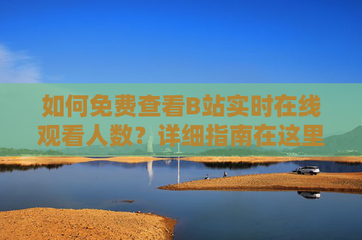 如何免费查看B站实时在线观看人数?详细指南在这里,免费查看B站实时在线人数指南 如何免费查看B站实时在线观看人数?详细指南在这里,免费查看B站实时在线人数指南