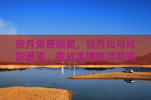 夜月免费观看，当月光与光影邂逅，零成本拥抱诗意观影夜，夜月免费，光影邂逅的诗意观影