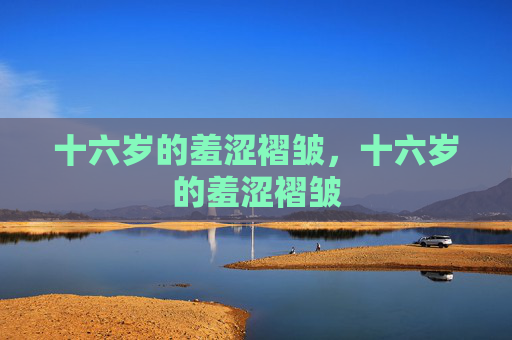 十六岁的羞涩褶皱,十六岁的羞涩褶皱 十六岁的羞涩褶皱,十六岁的羞涩褶皱