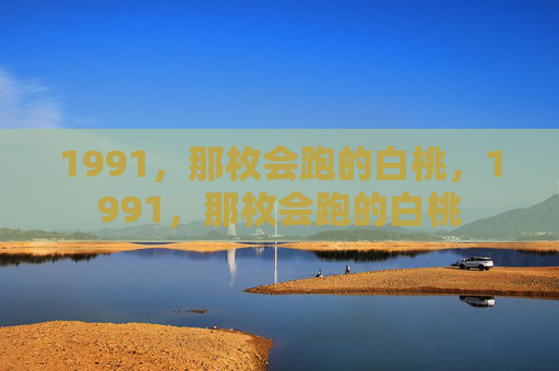 1991，那枚会跑的白桃，1991，那枚会跑的白桃