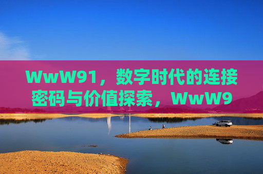 WwW91,数字时代的连接密码与价值探索,WwW91,数字时代的连接密码与价值探索 WwW91,数字时代的连接密码与价值探索,WwW91,数字时代的连接密码与价值探索