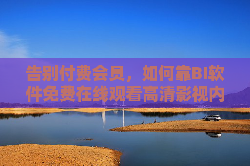 告别付费会员,如何靠BI软件免费在线观看高清影视内容? 告别付费会员,如何靠BI软件免费在线观看高清影视内容?