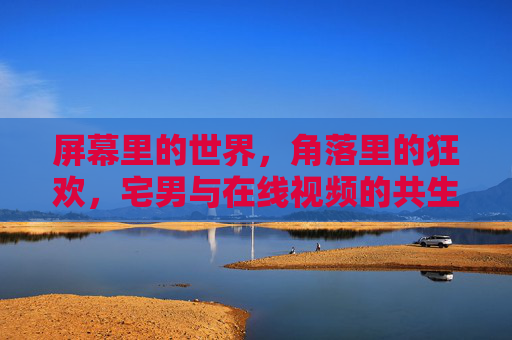 屏幕里的世界,角落里的狂欢,宅男与在线视频的共生日常,角落屏幕狂欢,宅男与在线视频共生日常 屏幕里的世界,角落里的狂欢,宅男与在线视频的共生日常,角落屏幕狂欢,宅男与在线视频共生日常