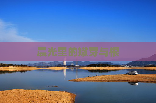 晨光里的嫩芽与根 晨光里的嫩芽与根