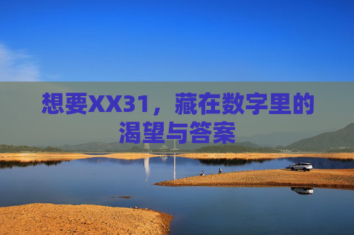 想要XX31,藏在数字里的渴望与答案 想要XX31,藏在数字里的渴望与答案