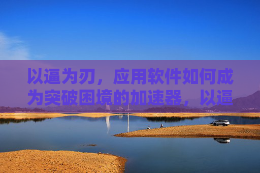 以逼为刃,应用软件如何成为突破困境的加速器,以逼为刃,应用软件的加速突围 以逼为刃,应用软件如何成为突破困境的加速器,以逼为刃,应用软件的加速突围