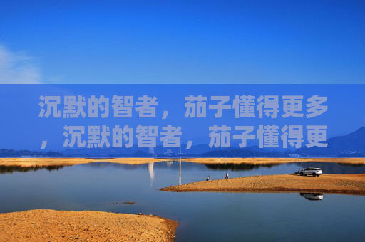 沉默的智者,茄子懂得更多,沉默的智者,茄子懂得更多 沉默的智者,茄子懂得更多,沉默的智者,茄子懂得更多