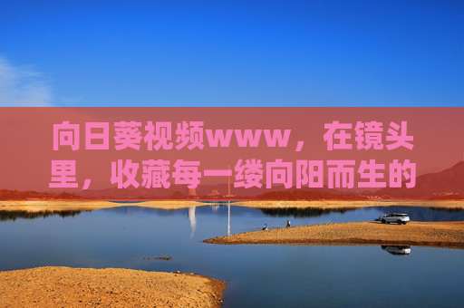向日葵视频www,在镜头里,收藏每一缕向阳而生的光,镜头里的向阳光,向日葵的收藏 向日葵视频www,在镜头里,收藏每一缕向阳而生的光,镜头里的向阳光,向日葵的收藏